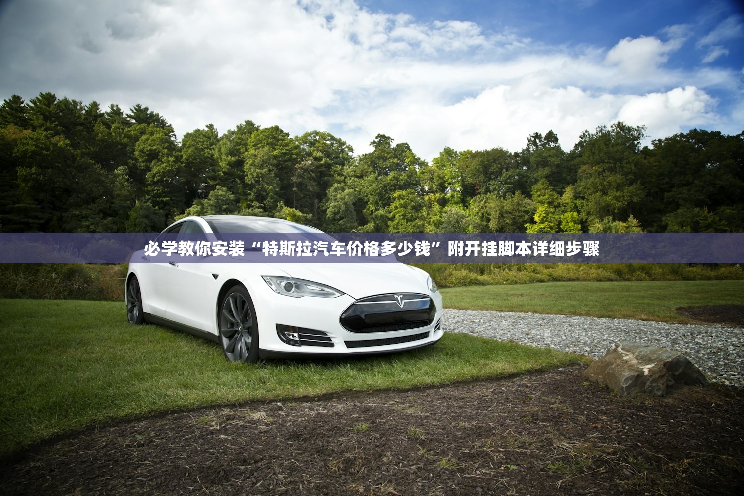 必学教你安装“特斯拉汽车价格多少钱”附开挂脚本详细步骤