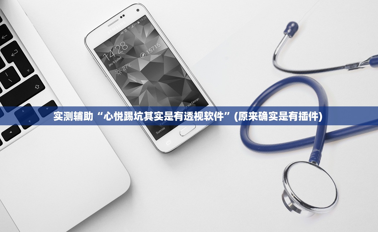 实测辅助“心悦踢坑其实是有透视软件”(原来确实是有插件) 