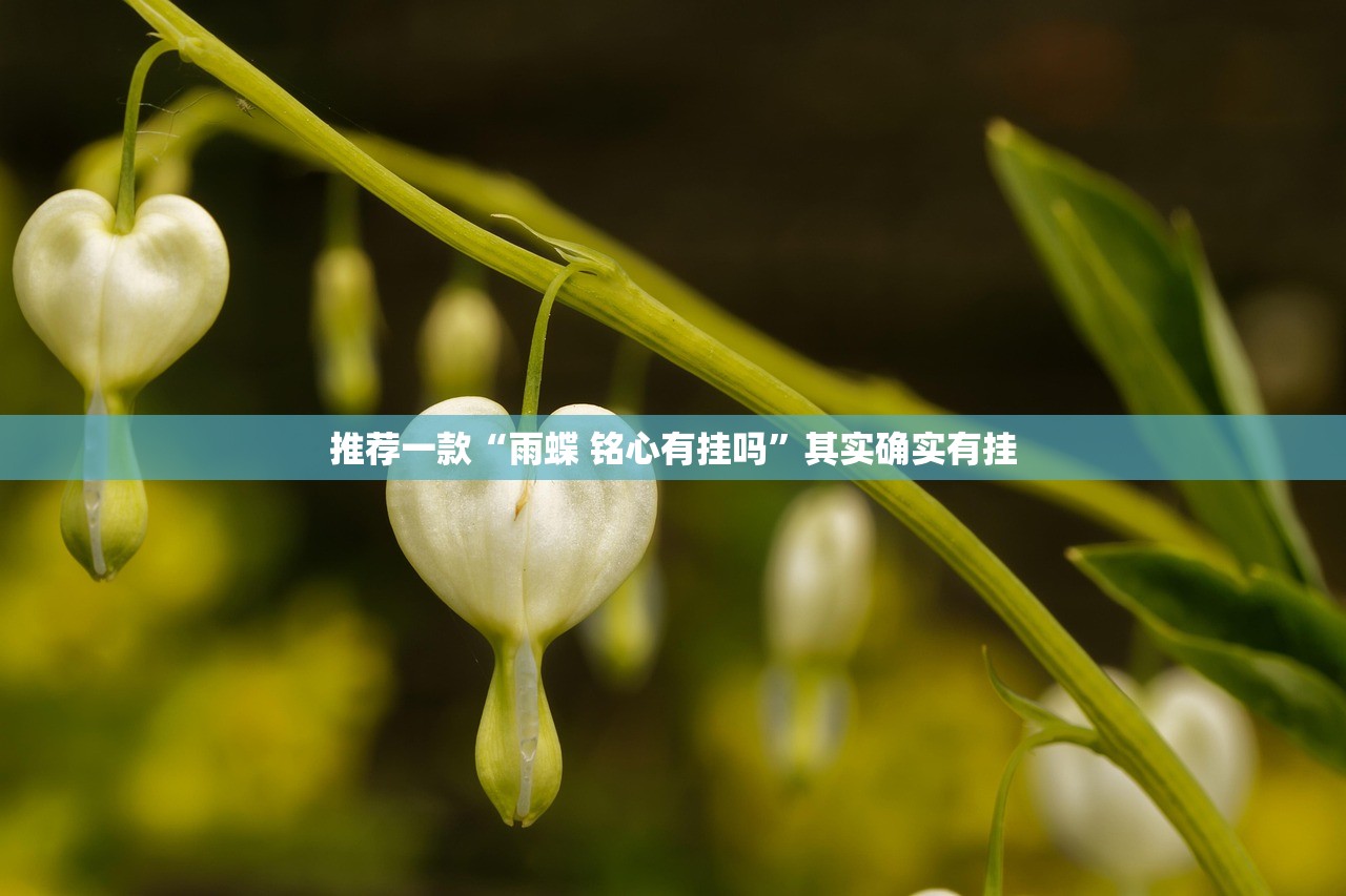 推荐一款“雨蝶 铭心有挂吗”其实确实有挂