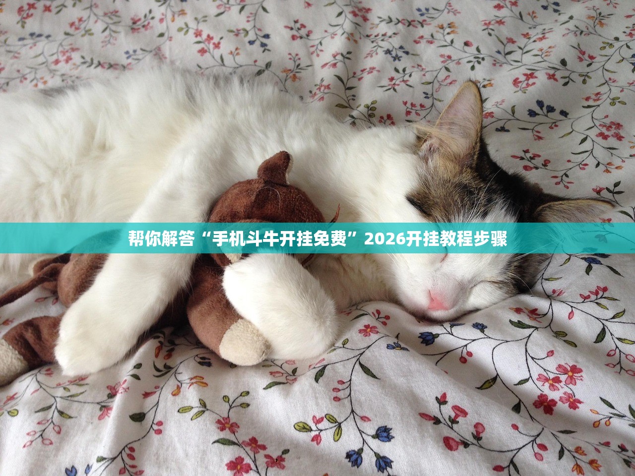 帮你解答“手机斗牛开挂免费	”2026开挂教程步骤