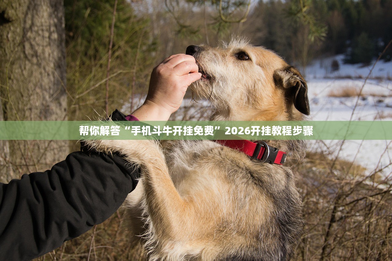 帮你解答“手机斗牛开挂免费”2026开挂教程步骤