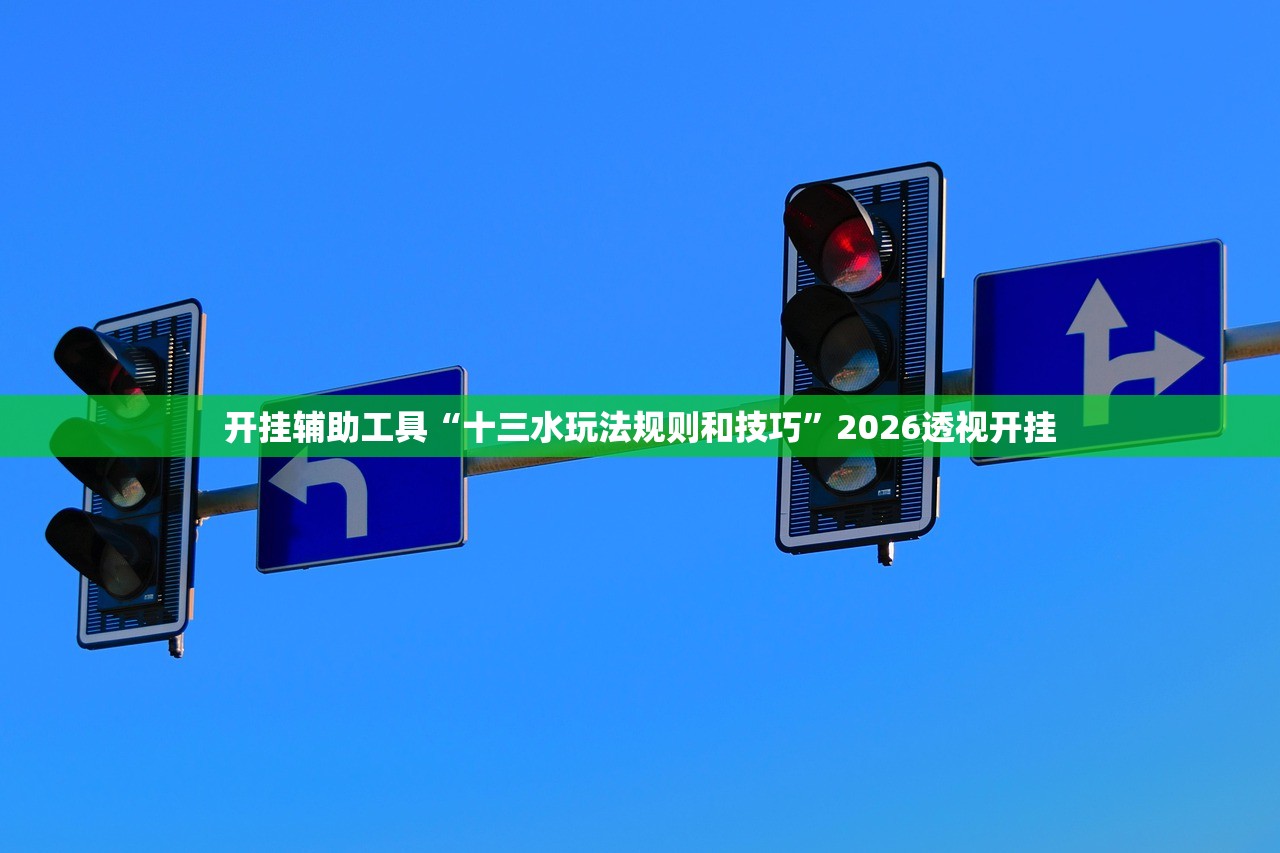 开挂辅助工具“十三水玩法规则和技巧”2026透视开挂