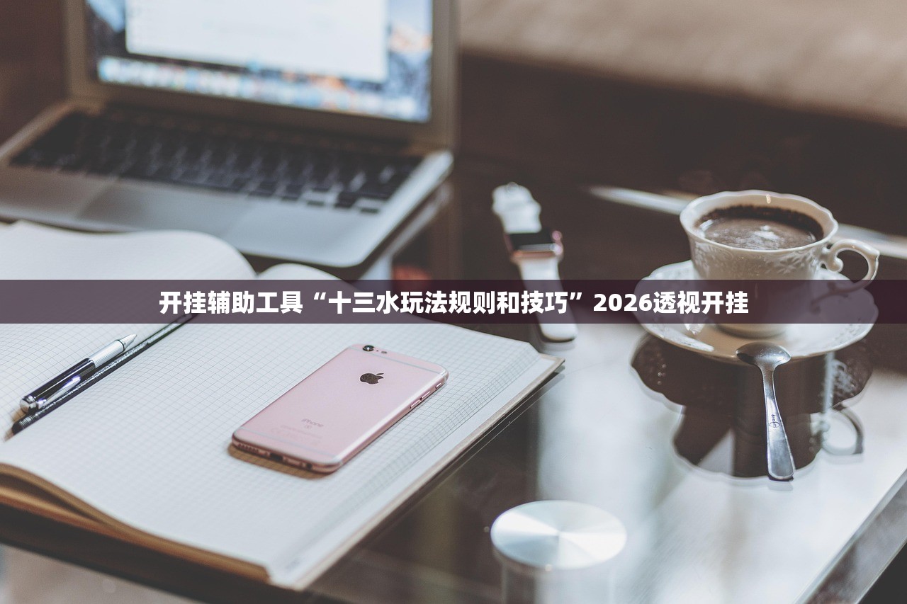 开挂辅助工具“十三水玩法规则和技巧”2026透视开挂