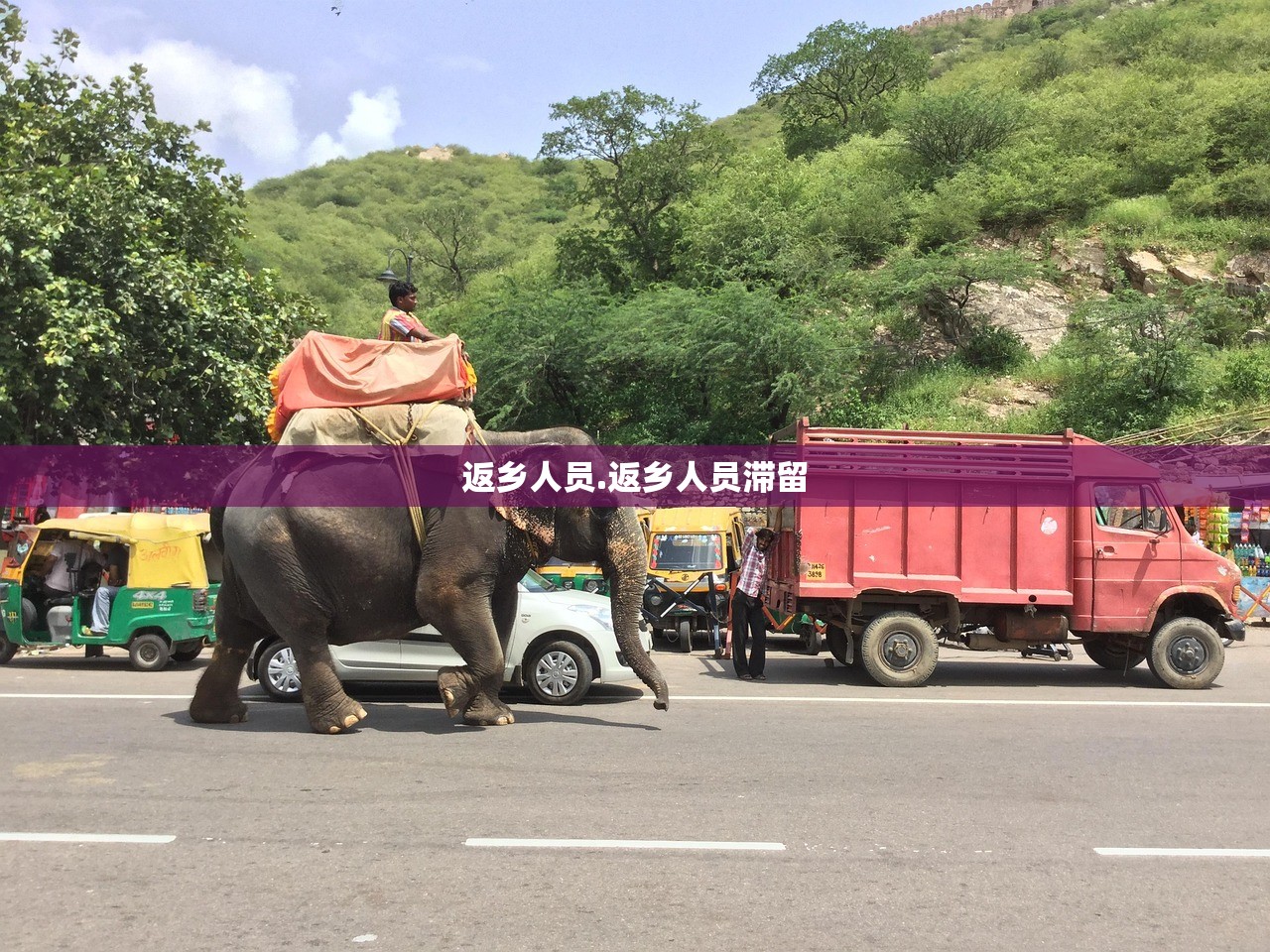 返乡人员.返乡人员滞留