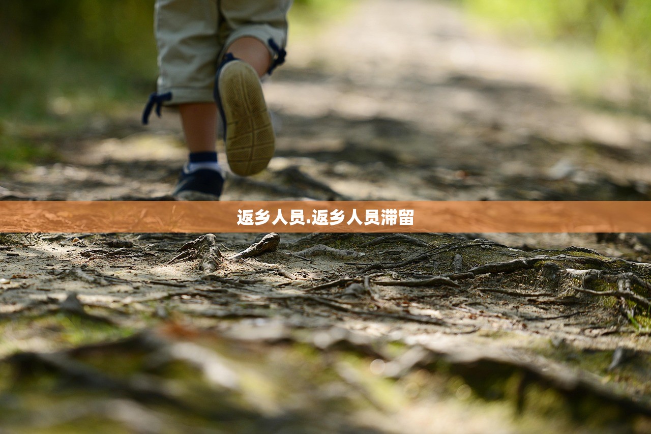 返乡人员.返乡人员滞留
