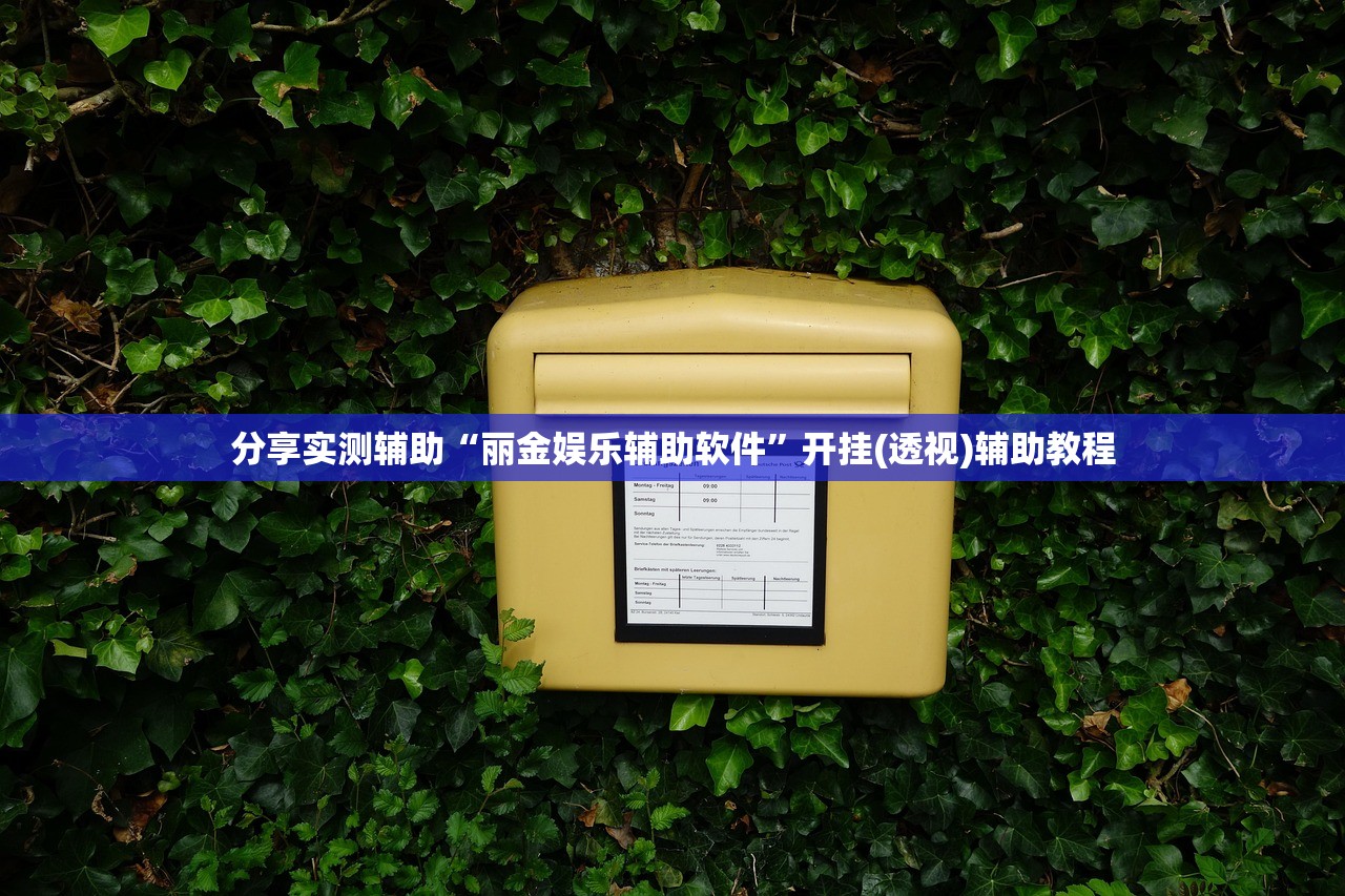 分享实测辅助“丽金娱乐辅助软件”开挂(透视)辅助教程