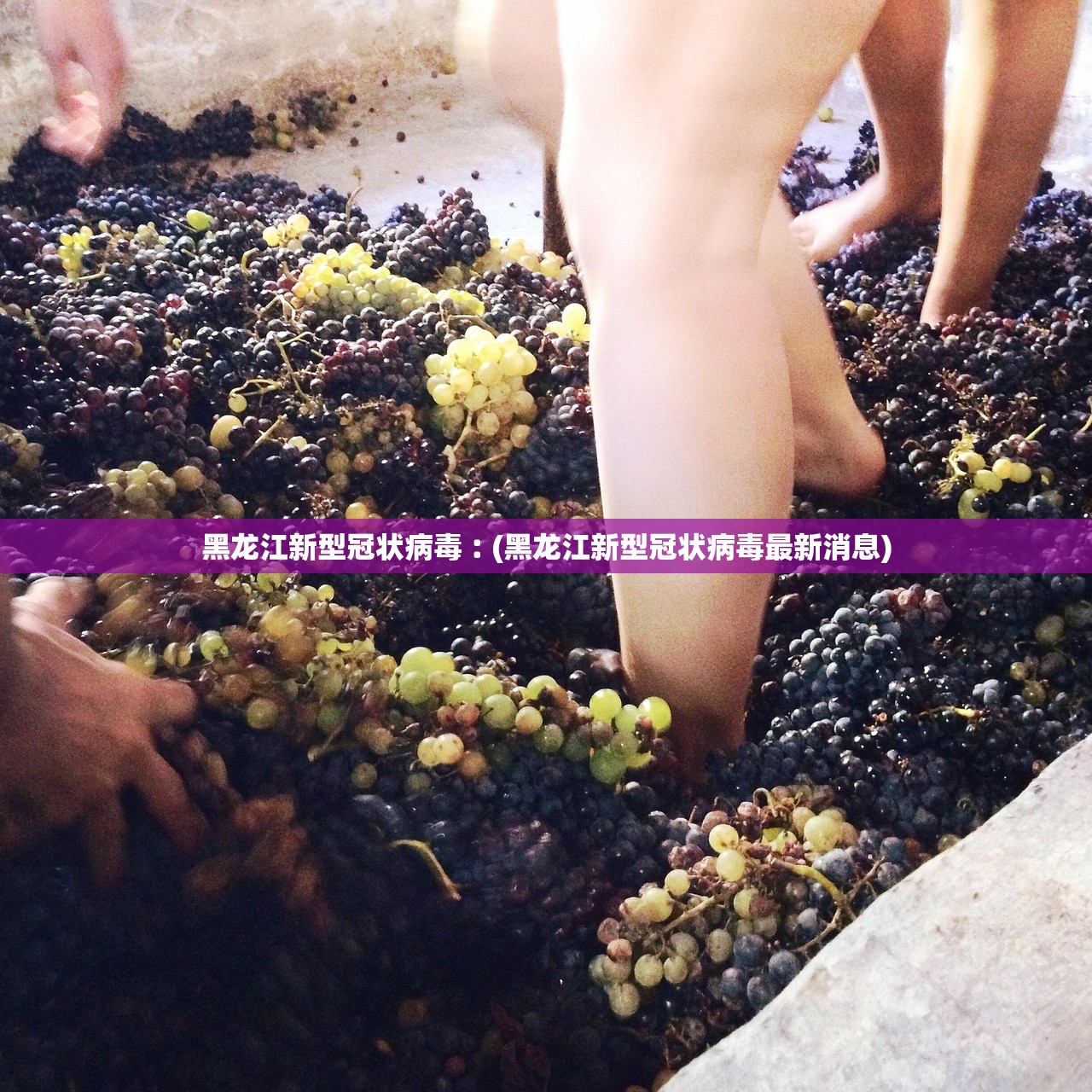 黑龙江新型冠状病毒︰(黑龙江新型冠状病毒最新消息) 黑龙江新型冠状病毒︰(黑龙江新型冠状病毒最新消息)