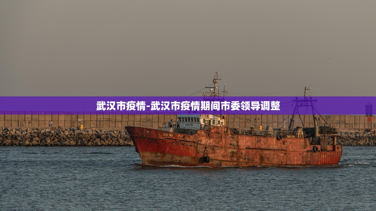 武汉市疫情-武汉市疫情期间市委领导调整