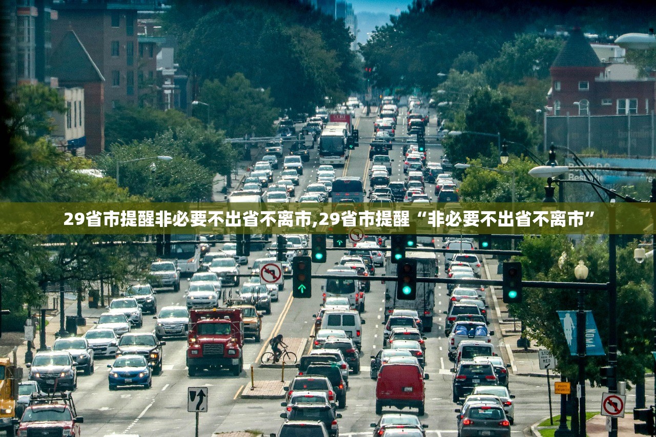 29省市提醒非必要不出省不离市,29省市提醒“非必要不出省不离市”