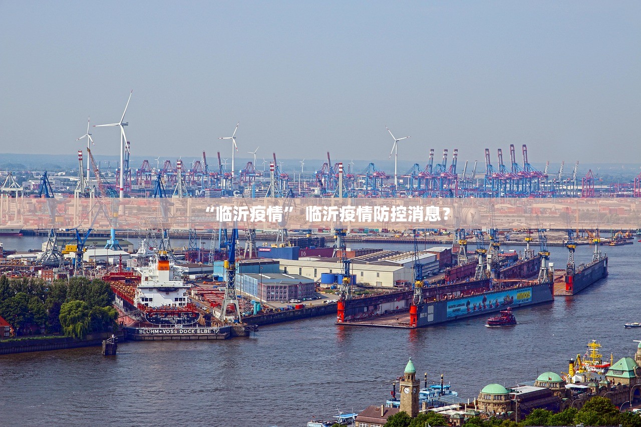 “临沂疫情	” 临沂疫情防控消息？