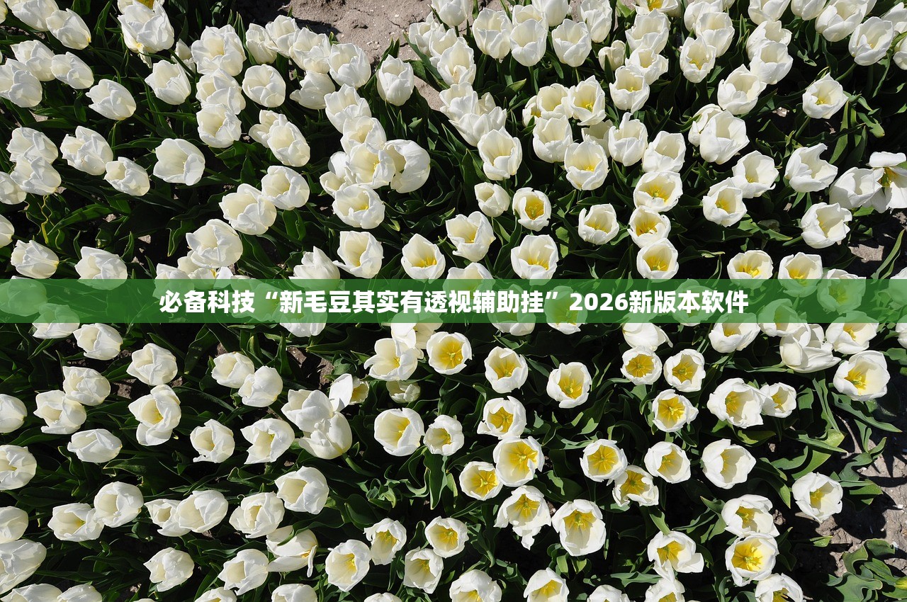 必备科技“新毛豆其实有透视辅助挂”2026新版本软件
