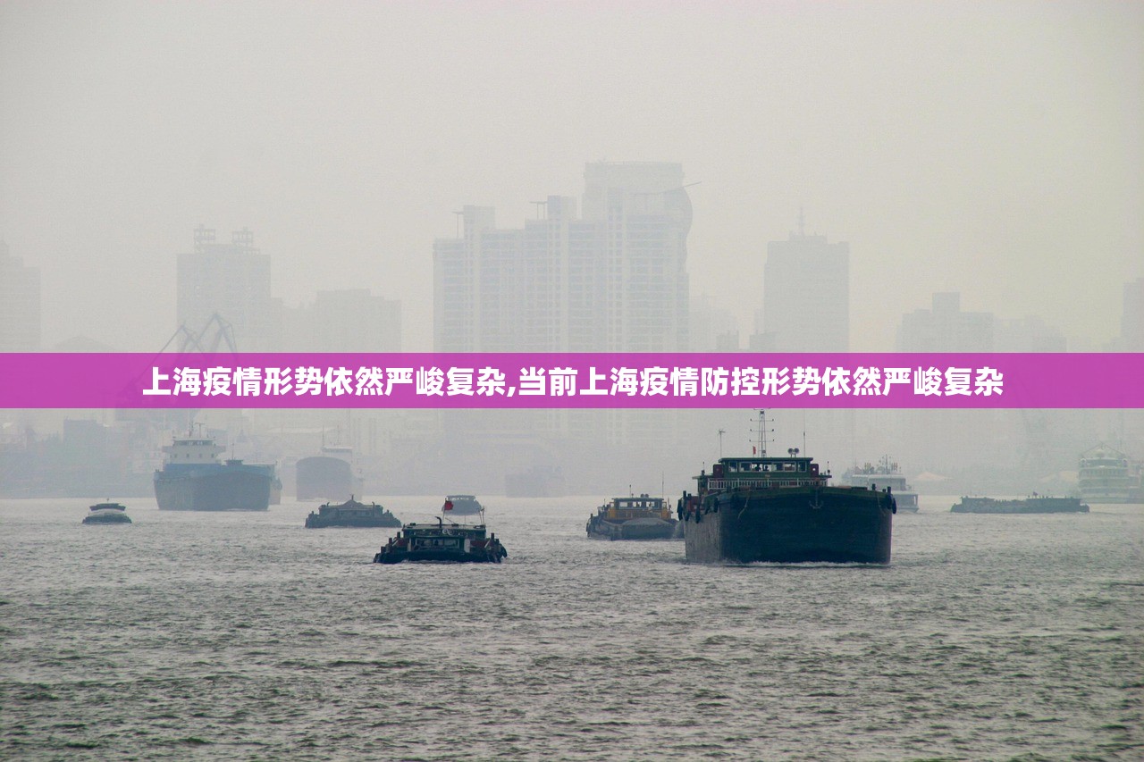 上海疫情形势依然严峻复杂,当前上海疫情防控形势依然严峻复杂