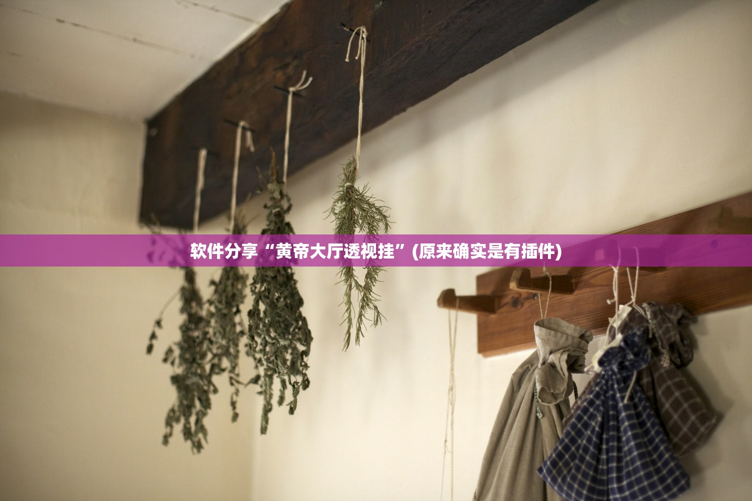 软件分享“黄帝大厅透视挂”(原来确实是有插件)