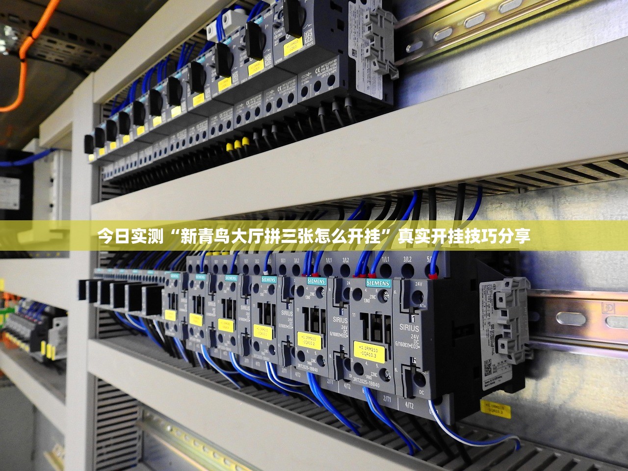 今日实测“新青鸟大厅拼三张怎么开挂”真实开挂技巧分享