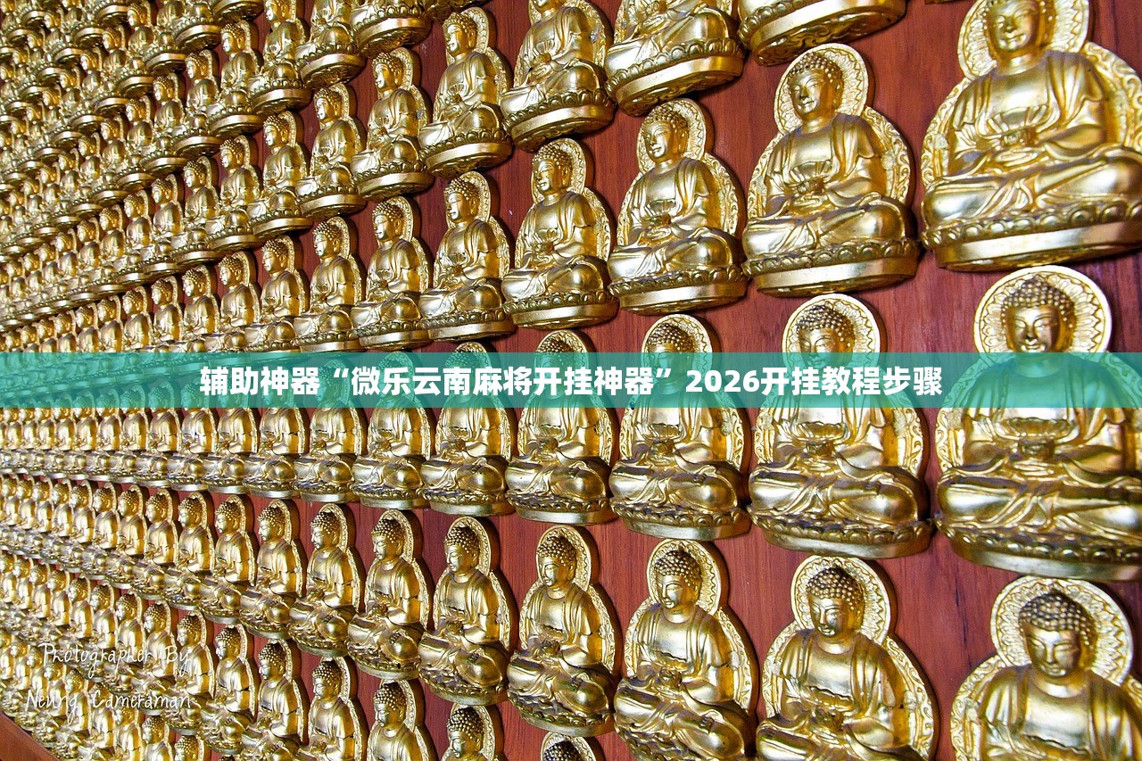 辅助神器“微乐云南麻将开挂神器”2026开挂教程步骤