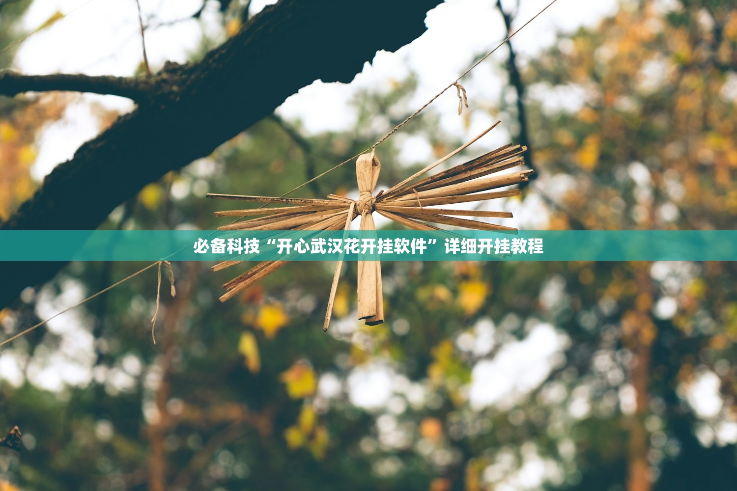 必备科技“开心武汉花开挂软件”详细开挂教程
