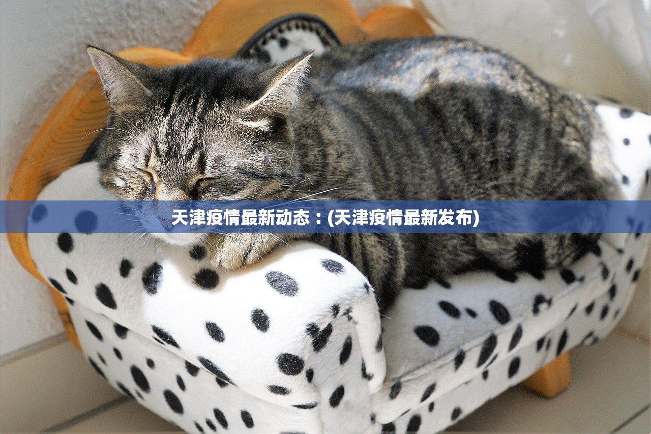 天津疫情最新动态︰(天津疫情最新发布) 天津疫情最新动态︰(天津疫情最新发布)