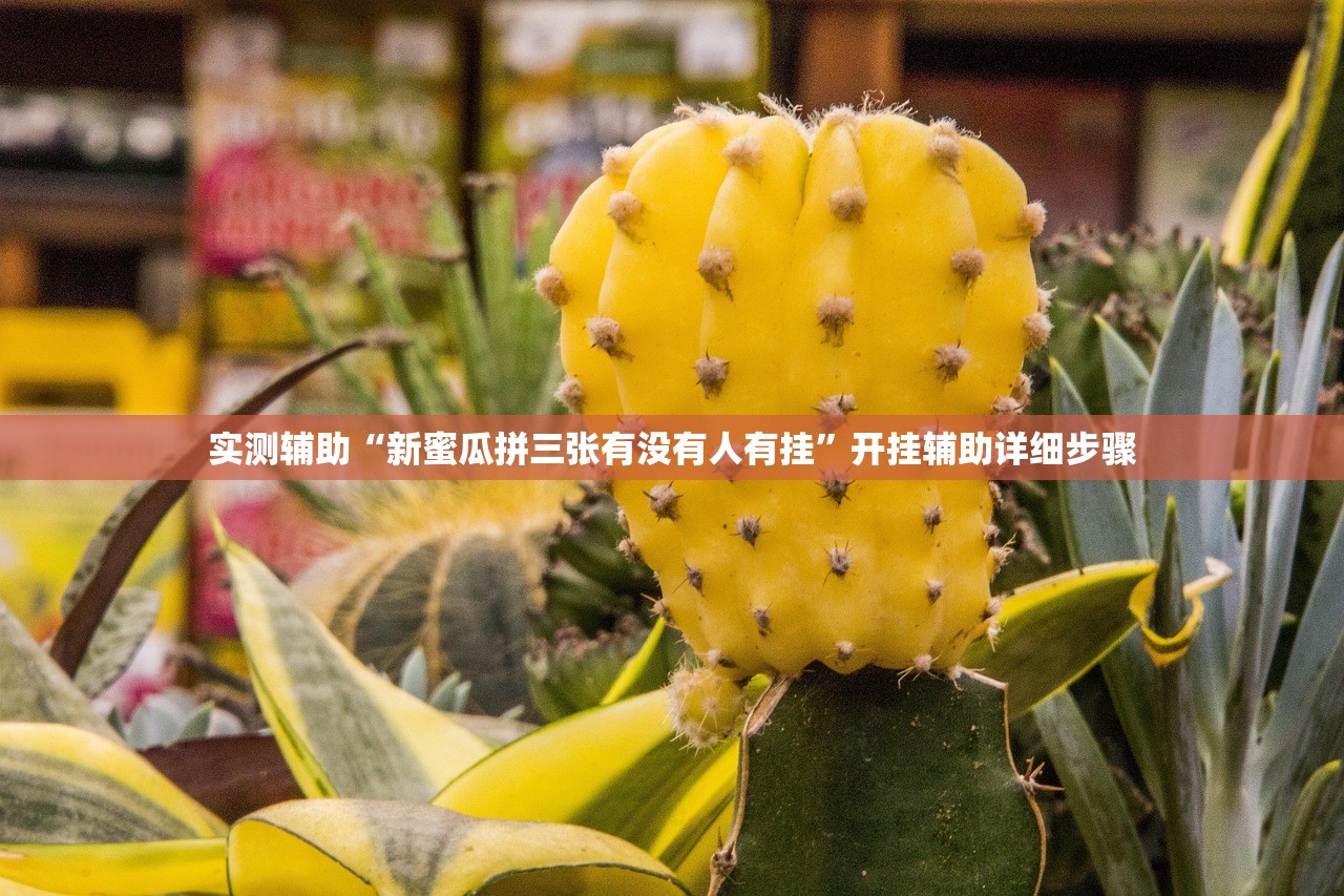 实测辅助“新蜜瓜拼三张有没有人有挂	”开挂辅助详细步骤