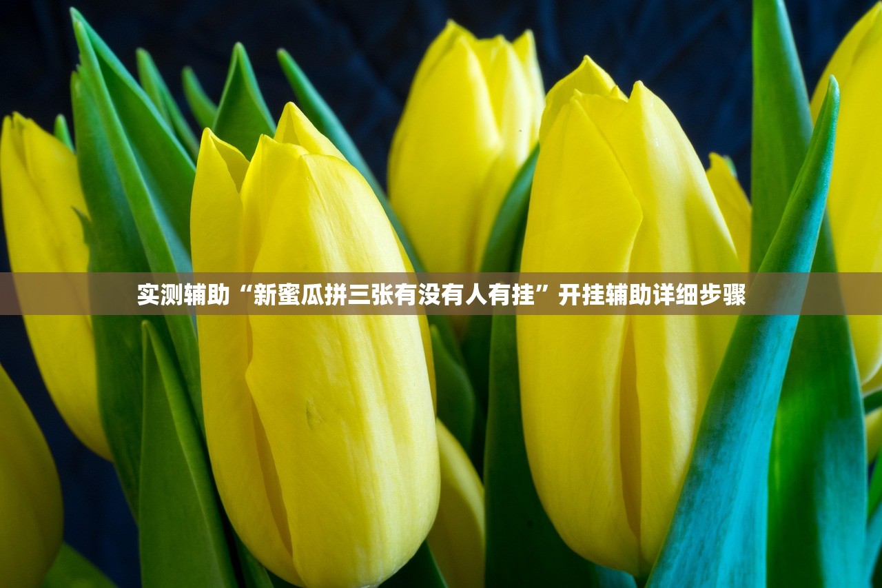 实测辅助“新蜜瓜拼三张有没有人有挂”开挂辅助详细步骤