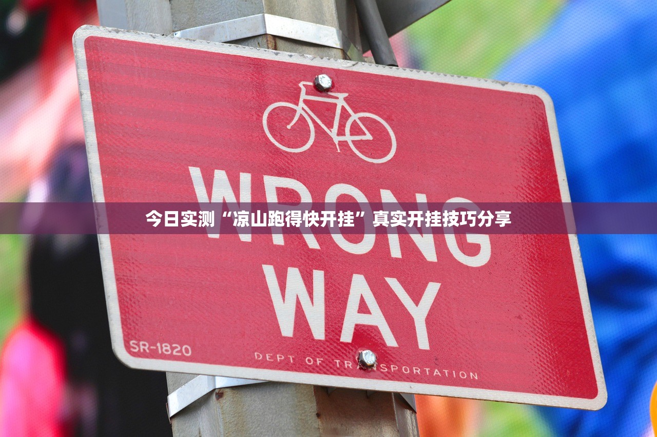 今日实测“凉山跑得快开挂”真实开挂技巧分享
