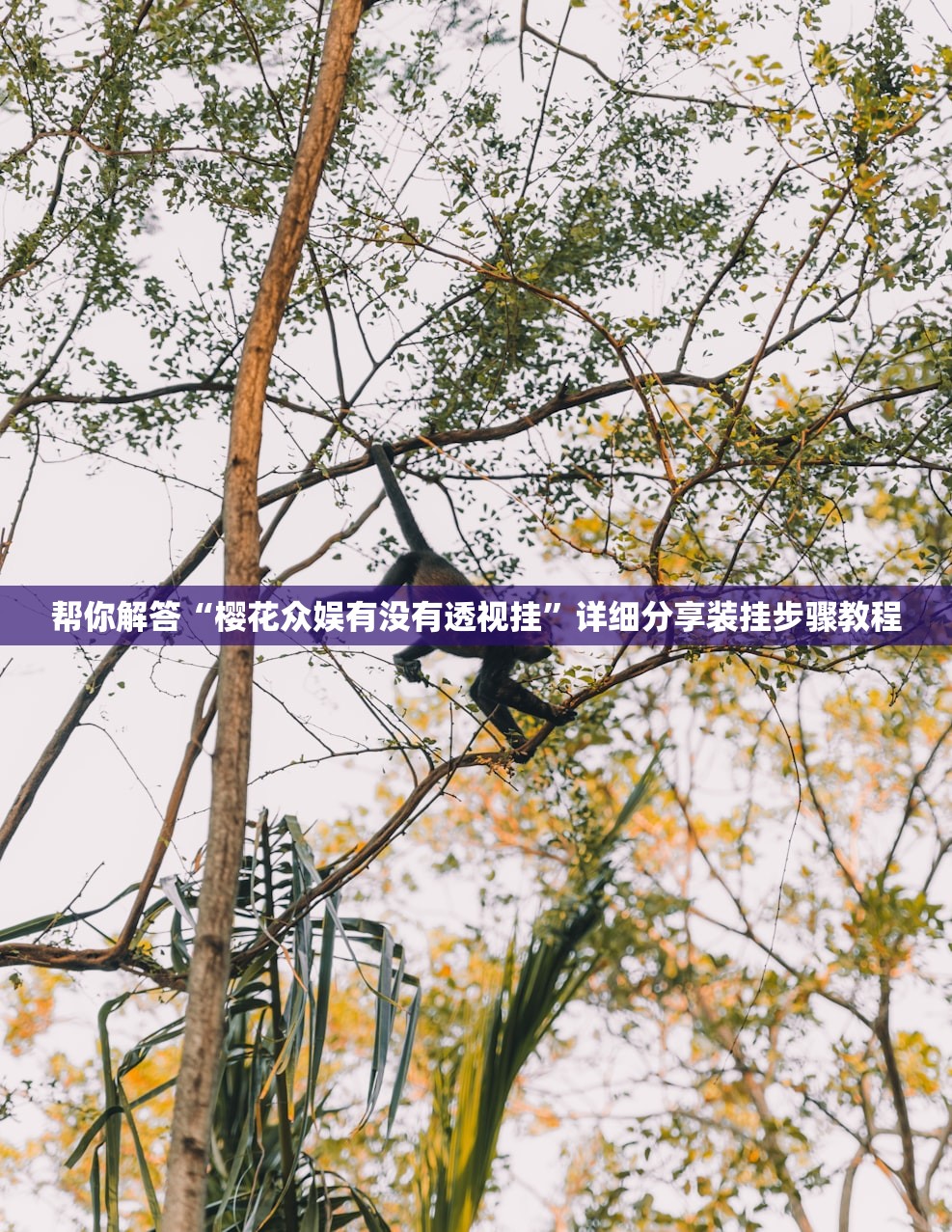 软件分享“新琉璃外卦神器通用版	”(曝光透视必备猫腻)