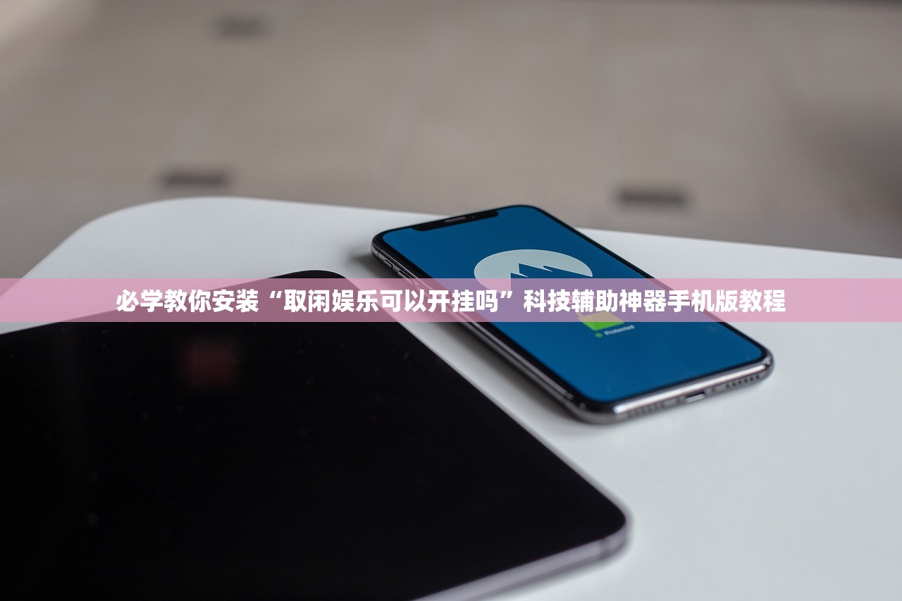 必学教你安装“取闲娱乐可以开挂吗”科技辅助神器手机版教程