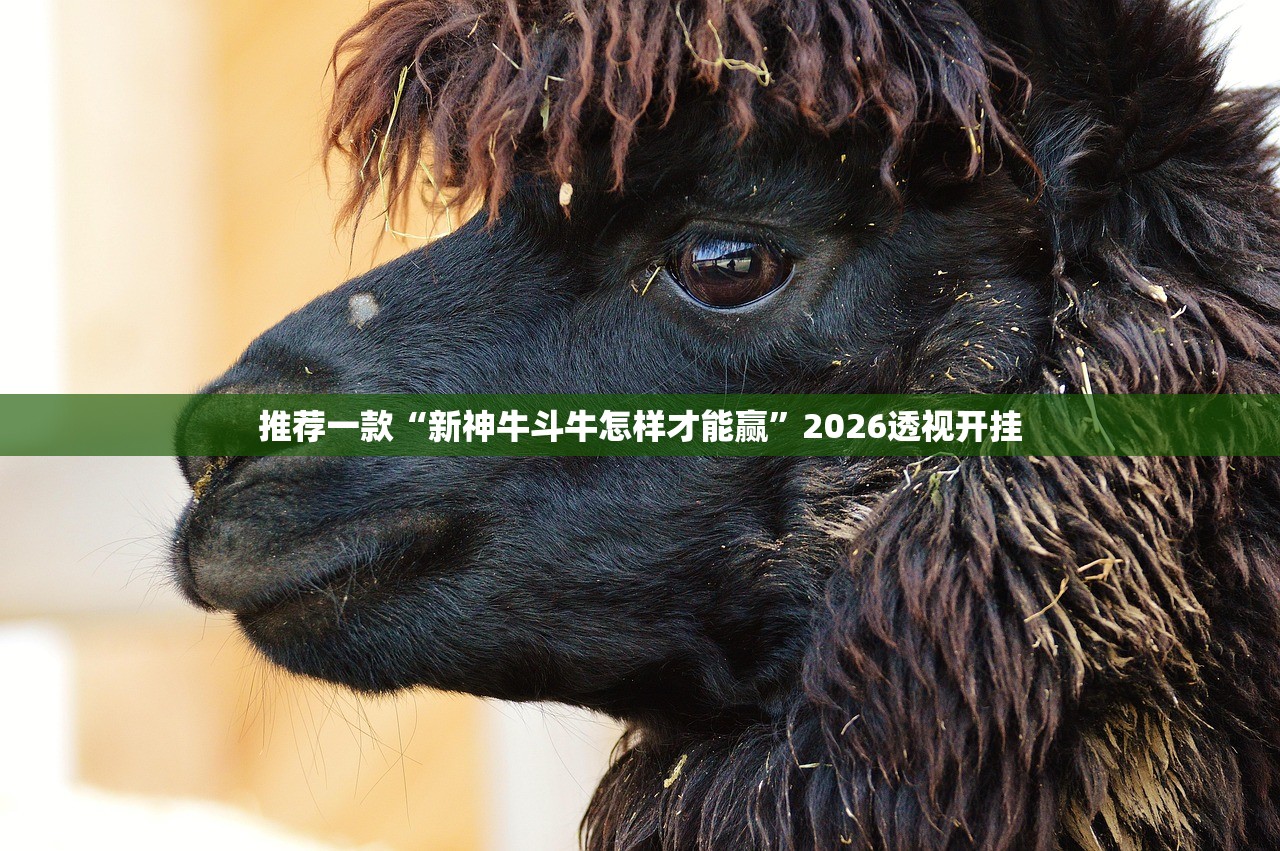 推荐一款“新神牛斗牛怎样才能赢	”2026透视开挂
