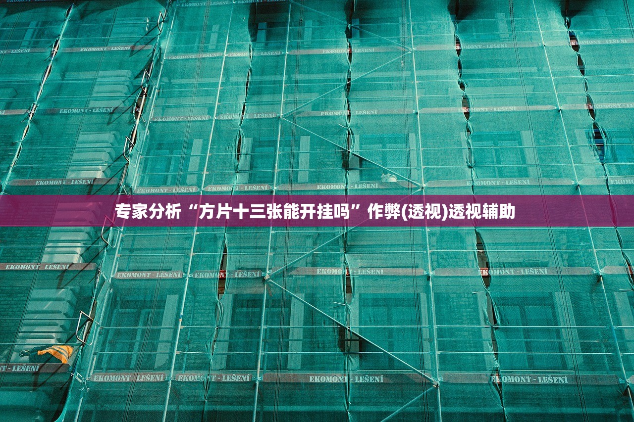 专家分析“方片十三张能开挂吗”作弊(透视)透视辅助 
