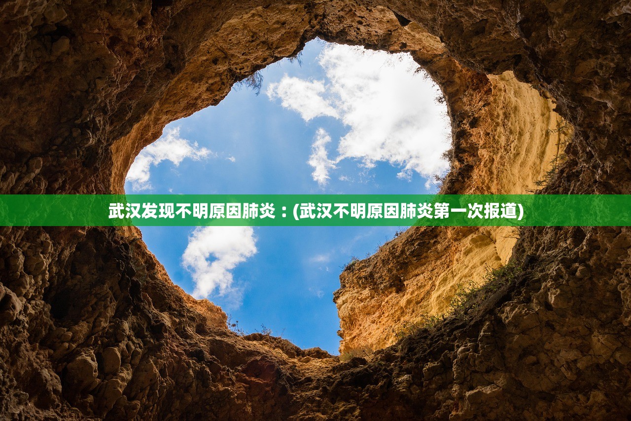 武汉发现不明原因肺炎︰(武汉不明原因肺炎第一次报道) 武汉发现不明原因肺炎︰(武汉不明原因肺炎第一次报道)