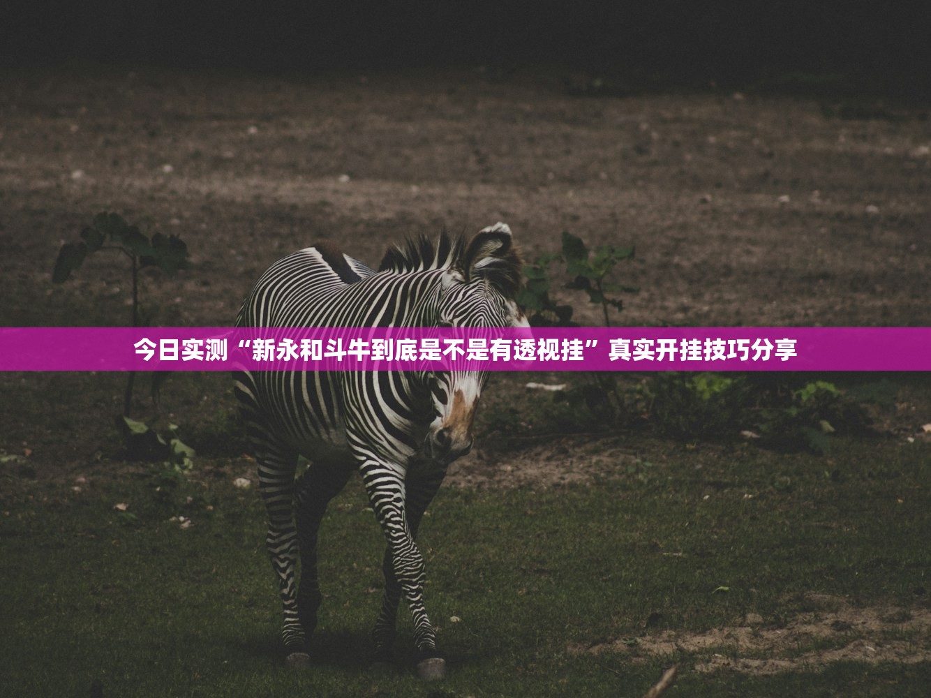 必备科技“趣友真的有挂吗”2026开挂教程步骤