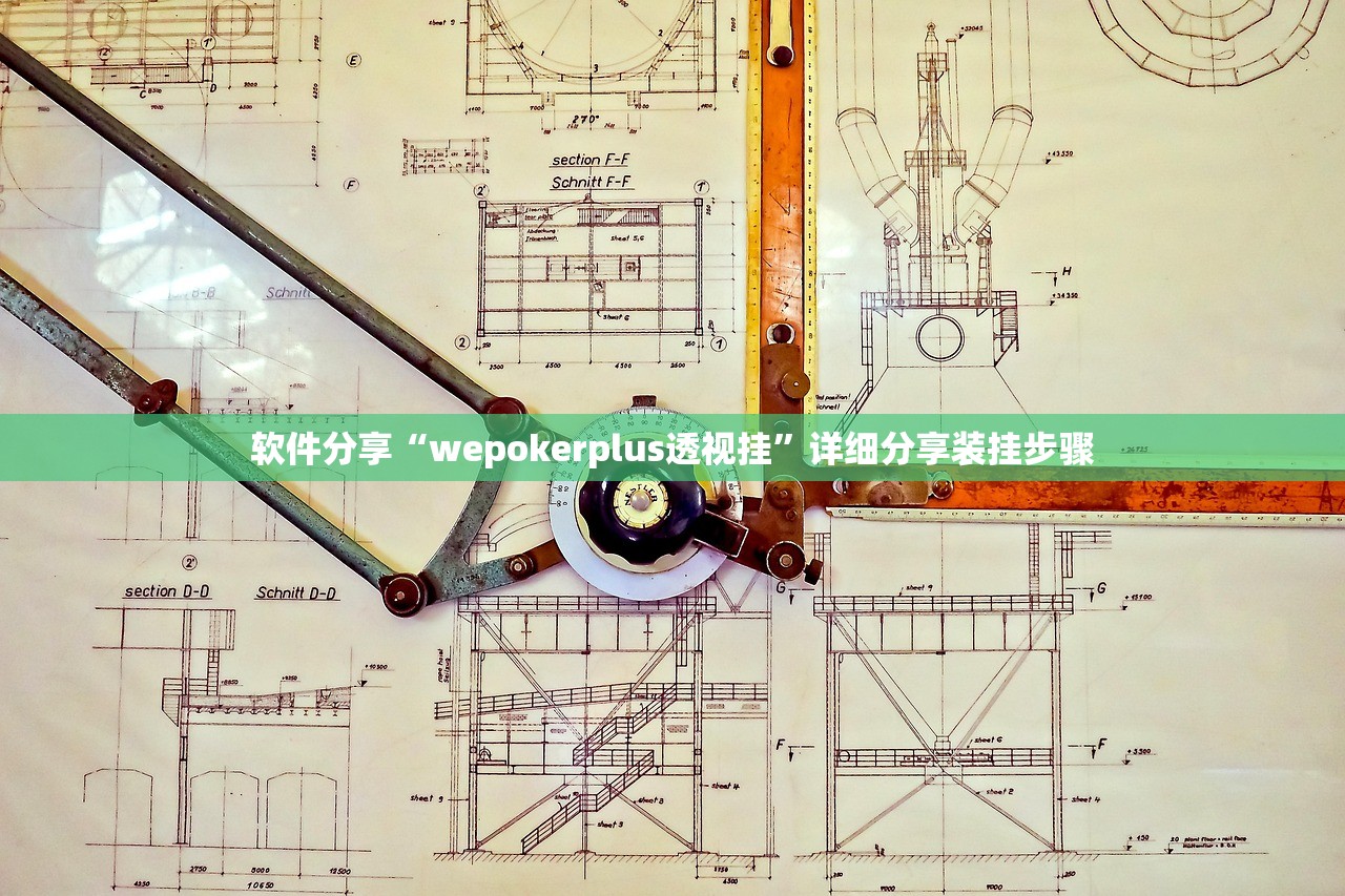软件分享“wepokerplus透视挂	”详细分享装挂步骤