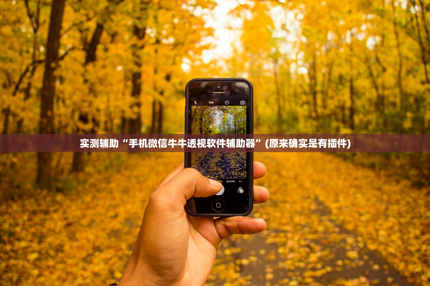 实测辅助“手机微信牛牛透视软件辅助器”(原来确实是有插件)
