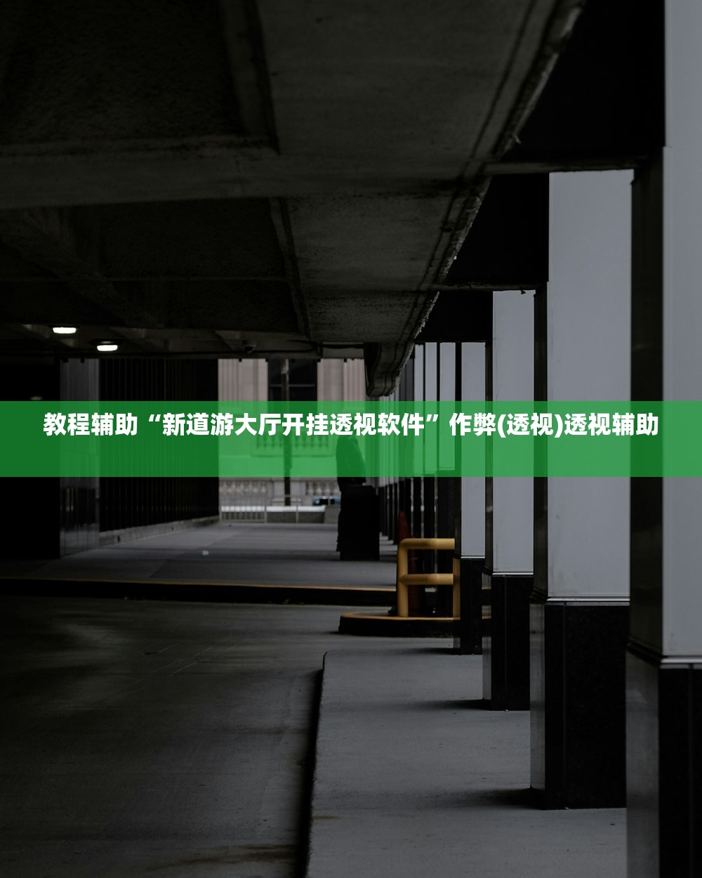 教程辅助“新道游大厅开挂透视软件”作弊(透视)透视辅助 