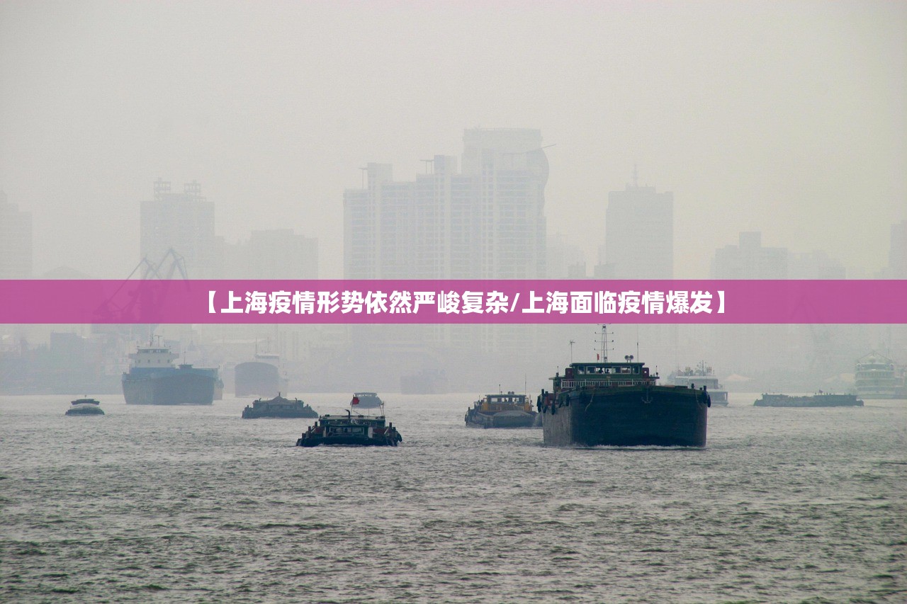 【上海疫情形势依然严峻复杂/上海面临疫情爆发】 【上海疫情形势依然严峻复杂/上海面临疫情爆发】