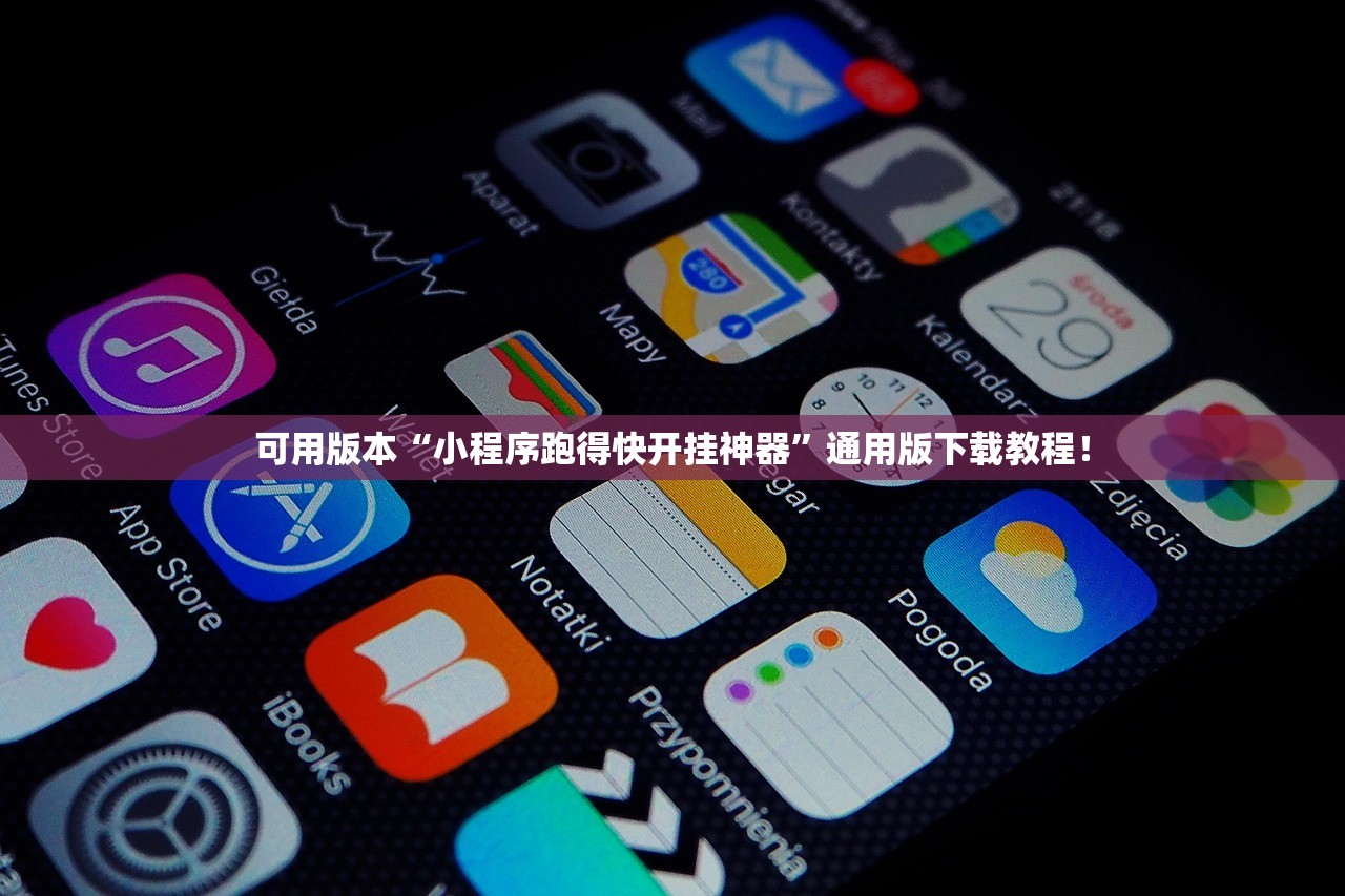 可用版本“小程序跑得快开挂神器	”通用版下载教程！