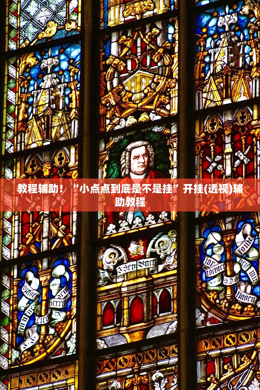 教程辅助！“小点点到底是不是挂”开挂(透视)辅助教程