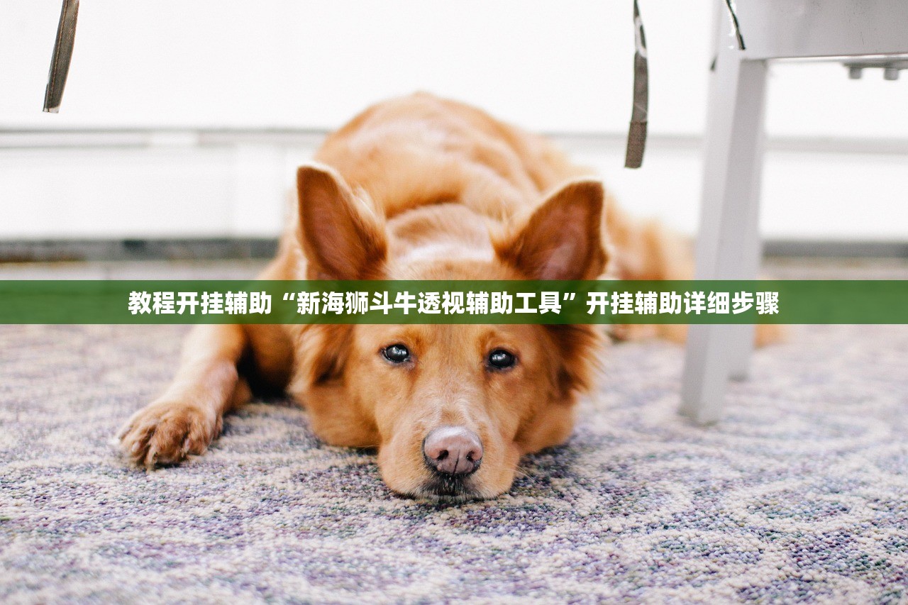 教程开挂辅助“新海狮斗牛透视辅助工具	”开挂辅助详细步骤