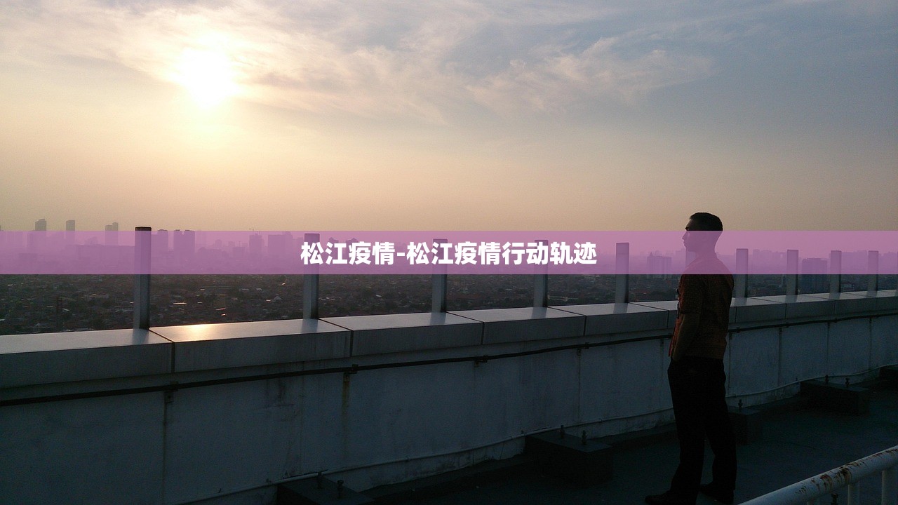 松江疫情-松江疫情行动轨迹