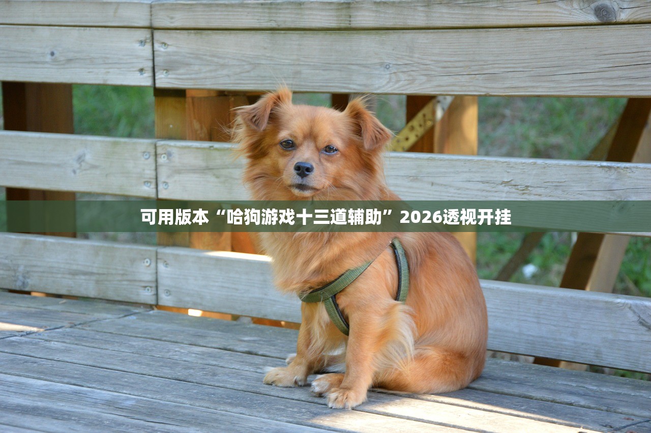 可用版本“哈狗游戏十三道辅助”2026透视开挂