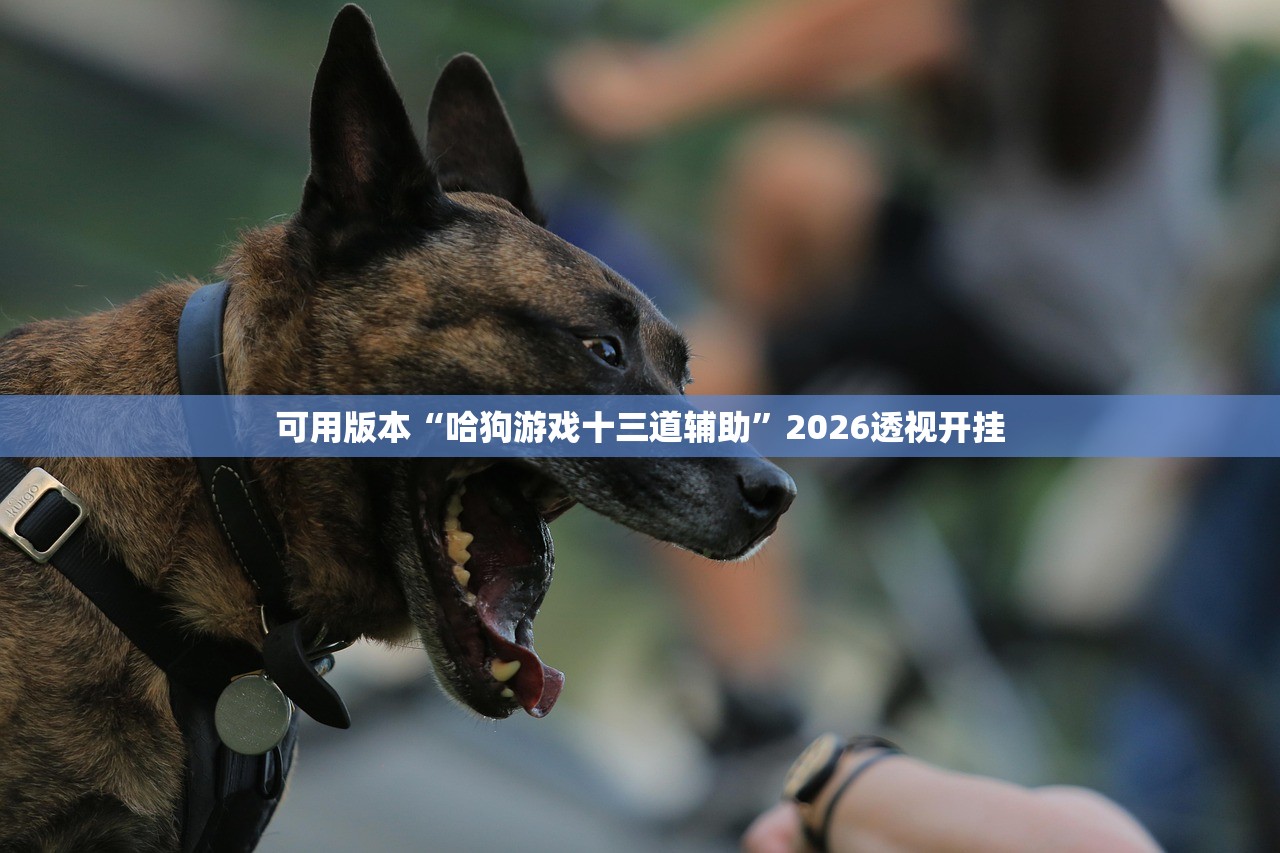 可用版本“哈狗游戏十三道辅助”2026透视开挂