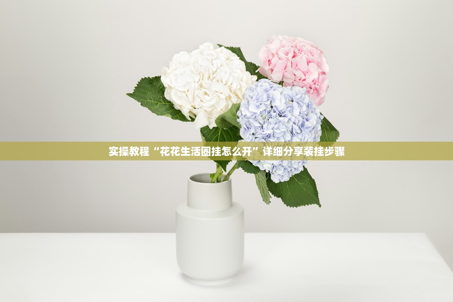 实操教程“花花生活圈挂怎么开”详细分享装挂步骤