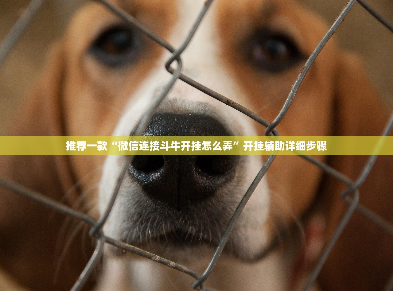推荐一款“微信连接斗牛开挂怎么弄	”开挂辅助详细步骤
