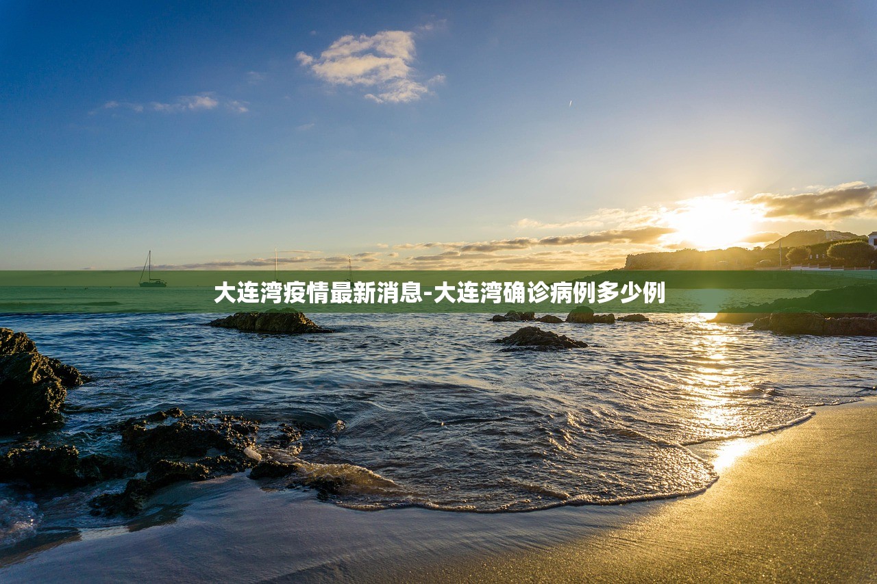 大连湾疫情最新消息-大连湾确诊病例多少例