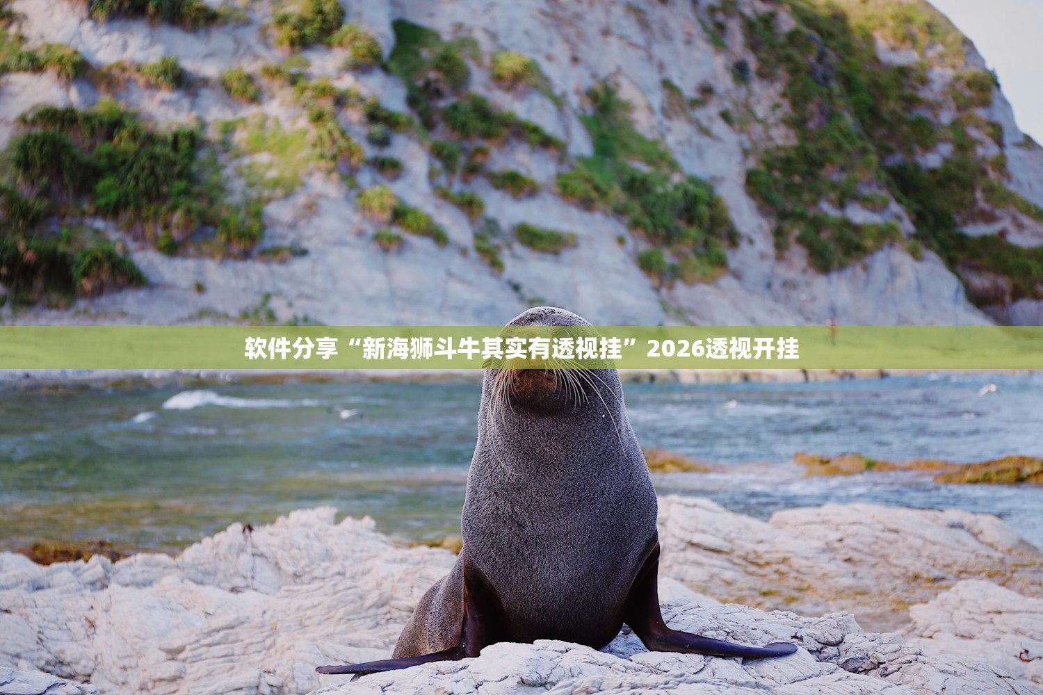 软件分享“新海狮斗牛其实有透视挂”2026透视开挂