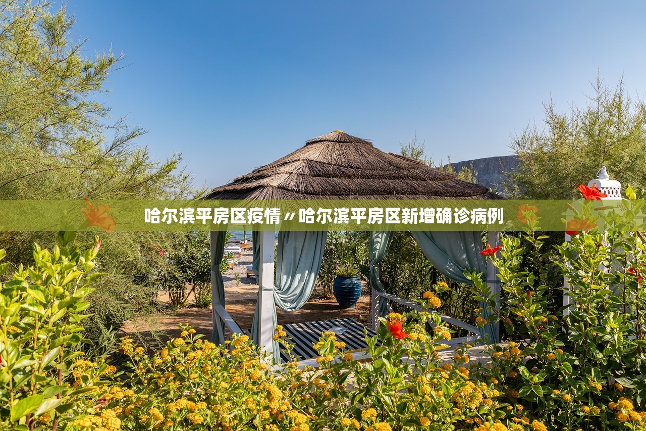 哈尔滨平房区疫情〃哈尔滨平房区新增确诊病例