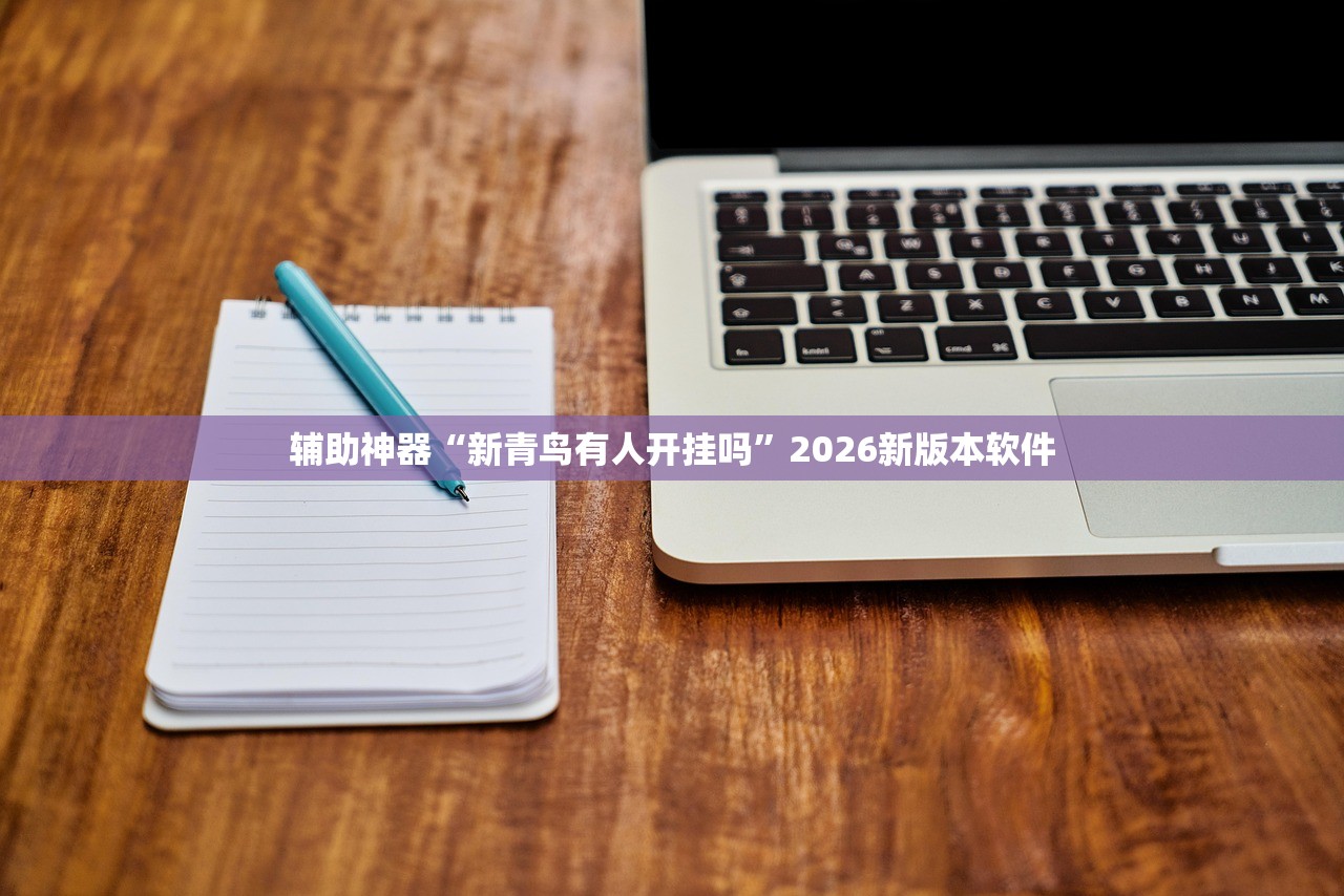 辅助神器“新青鸟有人开挂吗”2026新版本软件