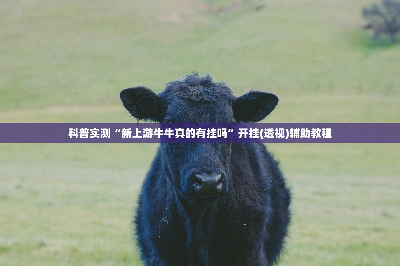 科普实测“新上游牛牛真的有挂吗	”开挂(透视)辅助教程