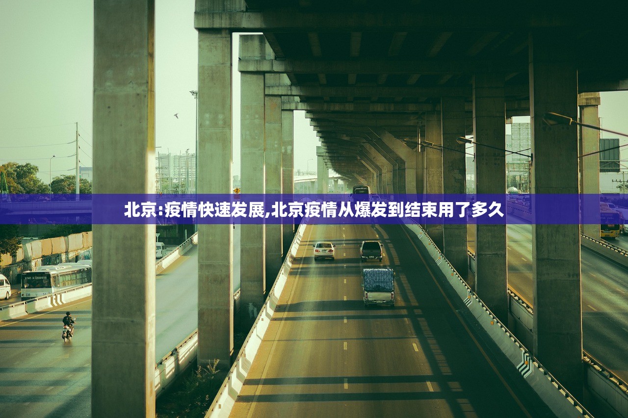玩家必读“随意玩拼三张透视看牌器”2026新版本软件