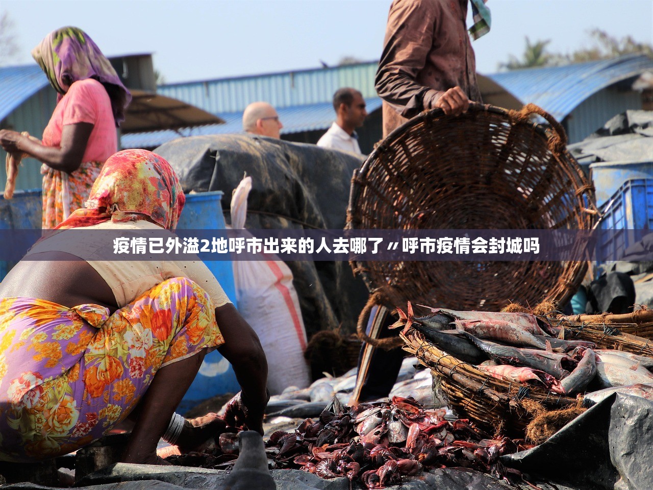 疫情已外溢2地呼市出来的人去哪了〃呼市疫情会封城吗 疫情已外溢2地呼市出来的人去哪了〃呼市疫情会封城吗