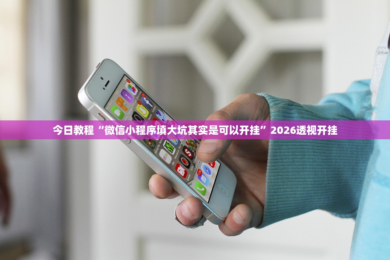 今日教程“微信小程序填大坑其实是可以开挂	”2026透视开挂